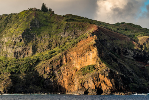 Pitcairn Island (by Mark Zukowski)