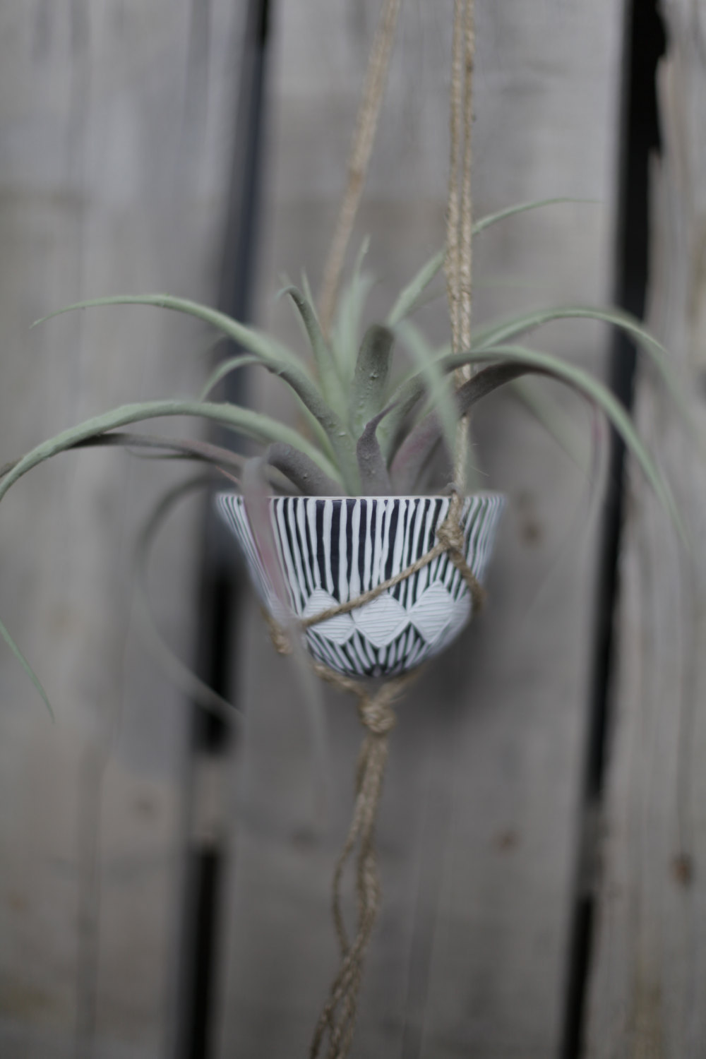 Air Plant Holders by RochellesLittleOnes on Etsy