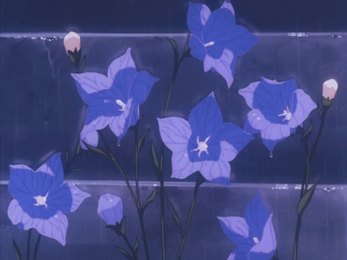 Anime Flower Purple GIF  Anime Flower Purple  Discover  Share GIFs