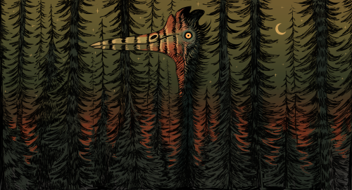 sparrowlucero:  the dark pine wood