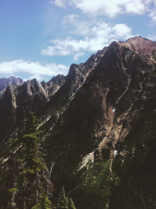 danielodowd:Joel Williams