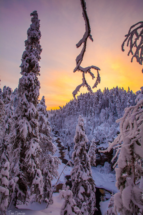 tiinatormanenphotography:Auttiköngäs.Jan 2013, Southern Lapland.Finland.by Tiina Törmänen