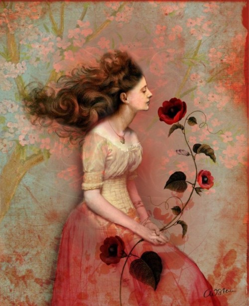 lohrien:  Illustrations by Catrin Welz-Stein