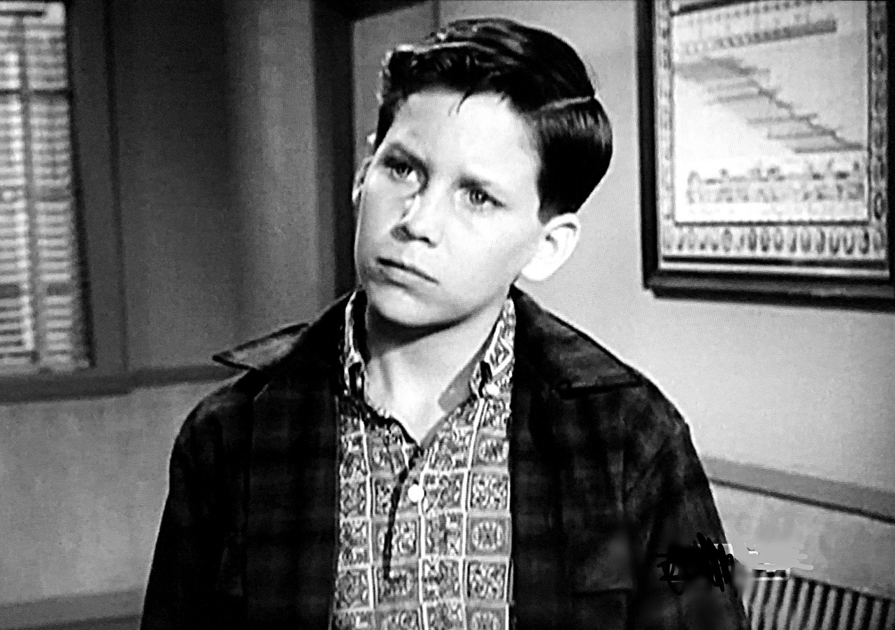 Society of kendolls tim matheson leave it to beaver episode tell 
