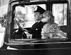 Thurston Hopkins - La Dolce Vita Knightsbridge, London, 1950.