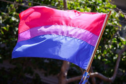 gaywrites:  Happy Bi Visibility Day/Celebrate Bisexuality Day! Fellow bi buds, I see you, I honor you, I love you. 