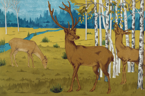 Cerfs = DeerMaurice Pillard Verneuil (French; 1869–1942)1897ChromolithographPlate 37 in: L'animal da