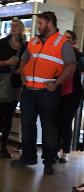 stalkerbeef:  Furry bloke with highviz… Damn 