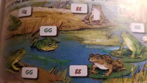 frogappreciationcommittee:Me n the Bois after a Good Game