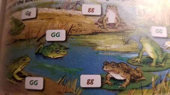 frogappreciationcommittee:Me n the Bois after a Good Game