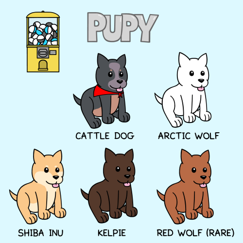 all known types of pupys in the world