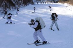 ski-schutze:  US Marines and South Korean troops do winter warfare exercises in preparation for the upcoming Winter Olympics.