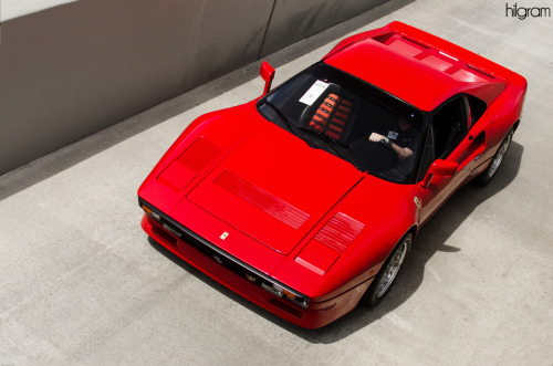 288 GTO