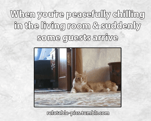death-by-lulz:  This post has been featured on a 1000notes.com blog. 