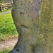 thesilicontribesman:‘Valley of Stone’ Sculpture, Stacksteads, Rossendale, Lancashire. 