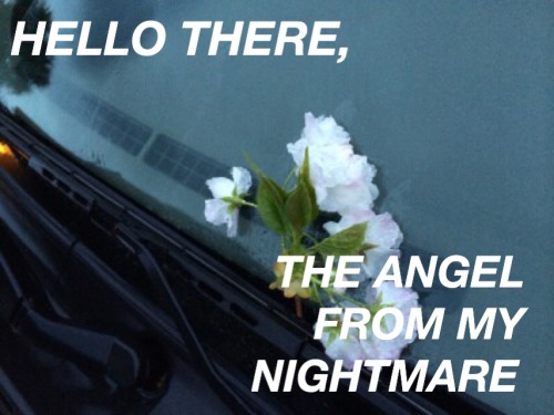 allcapshalsey:  i miss you