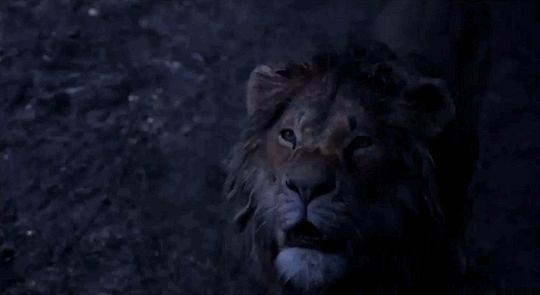 Lion King Edit Explore Tumblr Posts And Blogs Tumgir