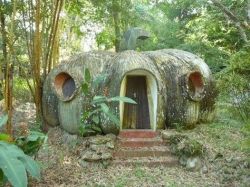 wizardess-castle: dradradra99:  Via Old Moss Woman on fb Housing solution in Neverland  ☾ 