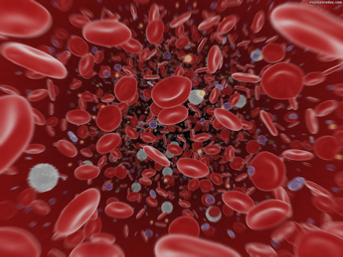New Drug Target for Blood Cancer, Potentially Solid TumorsUC San Diego and Mount Sinai researchers h
