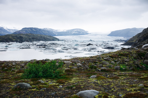 Jökulsárlón, Iceland.