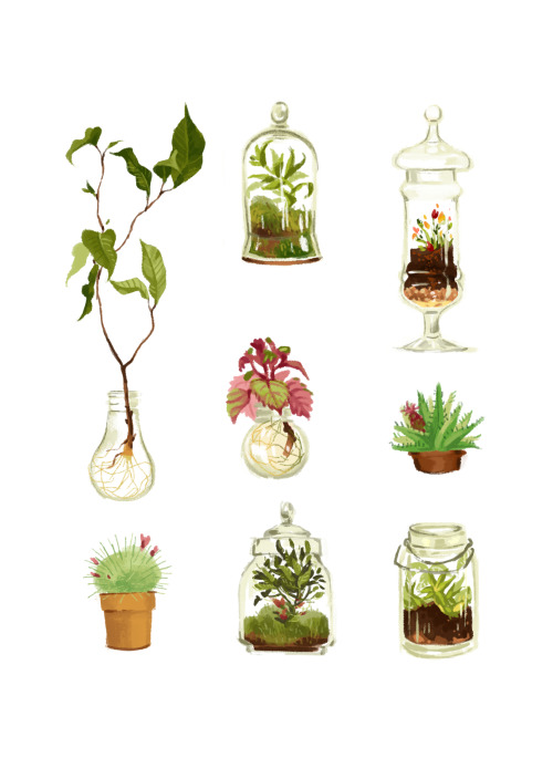 cy-lindric: Plants in glass and pots, Eugène’s thing.