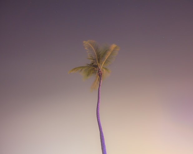  The best place to be is somewhere else, Tony Katai 