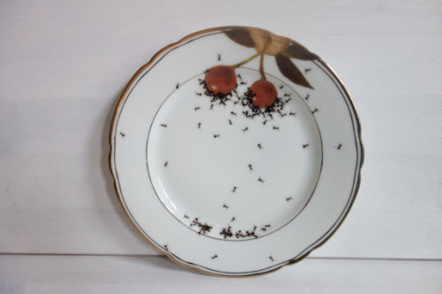 asylum-art:  Porcelain pieces that are infested with hand-painted ants by artistLa Philie  on Etsy German artist Evelyn Bracklow of La Philie decided to combine the elegance of vintage porcelain with the grossness of a horde of ants in a series she calls
