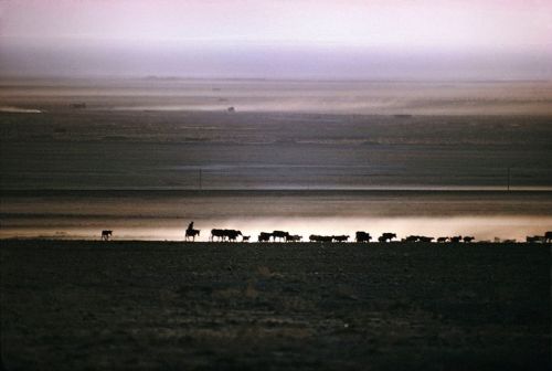 fotojournalismus: Iran, 1964. Photographs by Bruce Davidson 