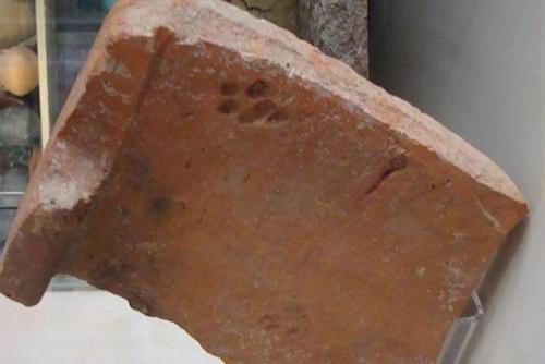 cutecornflakes:Even ancient cats sucked. Footprints on a 2000 year old Roman roof tile.