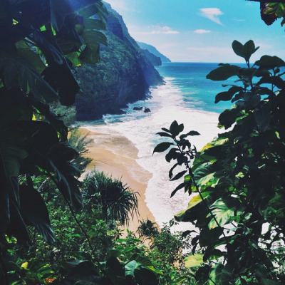 Live The Life You Want To Live