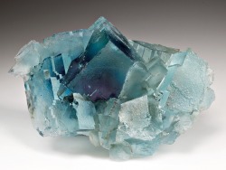 bijoux-et-mineraux:  Fluorite - Minerva No. 1 Mine, Hardin Co., Illinois  