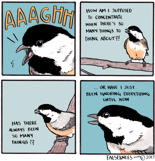 falseknees: Sam just found out about cashews