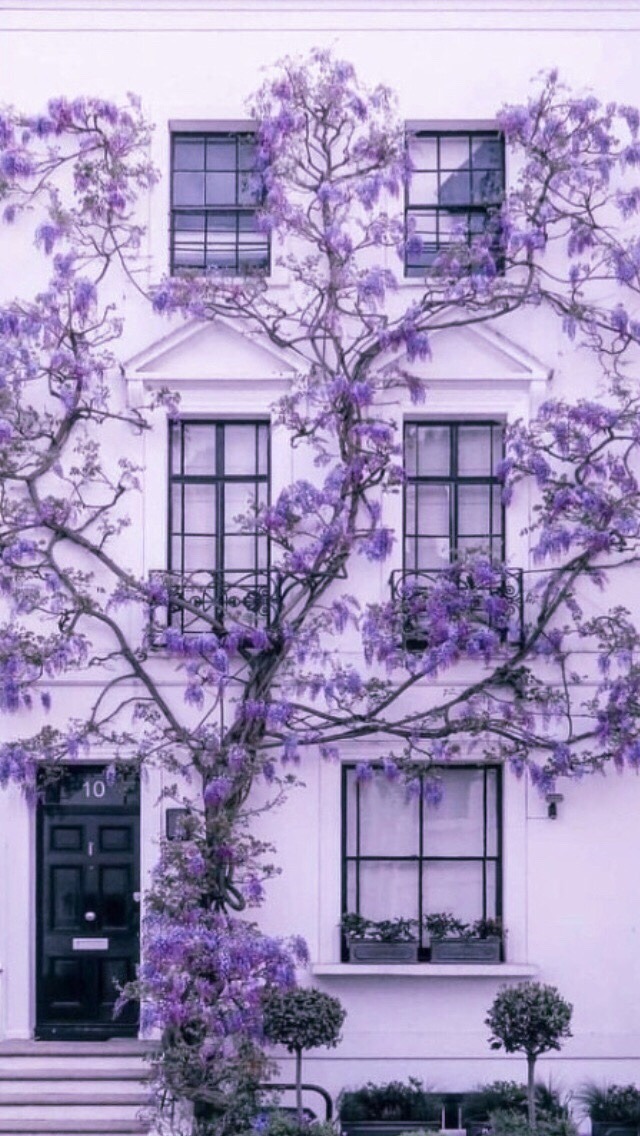 22 Aesthetic Pastell Lila Hintergrund Tumblr | Globetrotspot