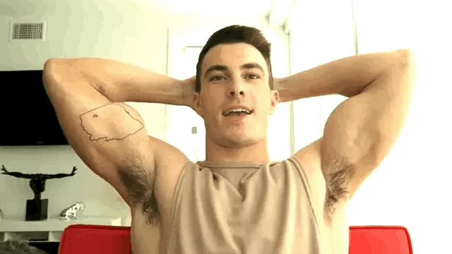malecelebarmpits:  Vince Sant 1