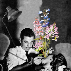 eugenialoli:  “Holistic Approach“