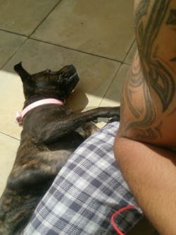 Enjoying The Sun. First She Lies Beside Me, And Then She Wriggles Between My Legs
