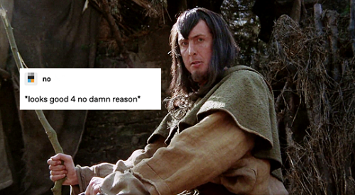 twosheds:Monty Python and the Holy Grail + tumblr text posts