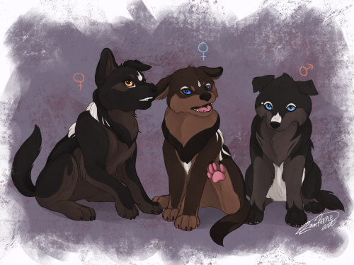 Drew some Zutara wolves and their steampups!Puppy designs are tentative lol bc I can’t make de