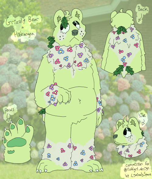 design commission for @ruffgrl , who asked for a grizzly bear + hydrangea flower character ! had alo