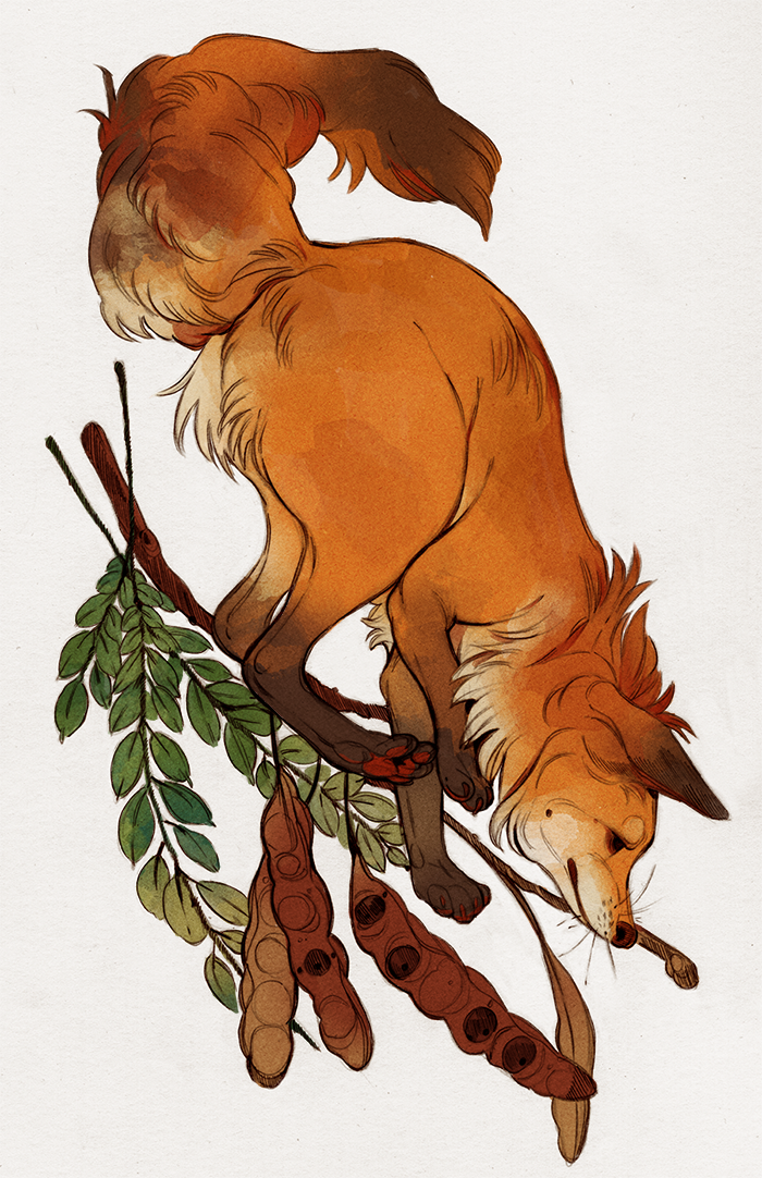 godzillabreath:Here’s an old drawing of a fox I intended to use for something but…