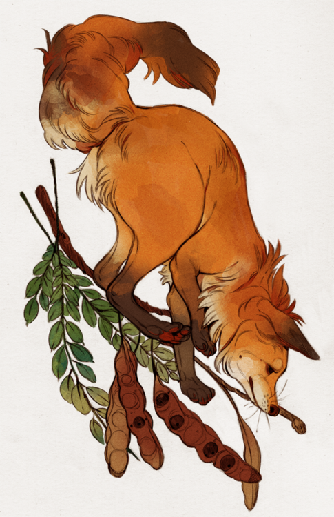godzillabreath:Here’s an old drawing of a fox I intended to use for something but… never did. 