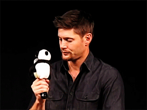 royalcas:  Jensen and his panda (×) 