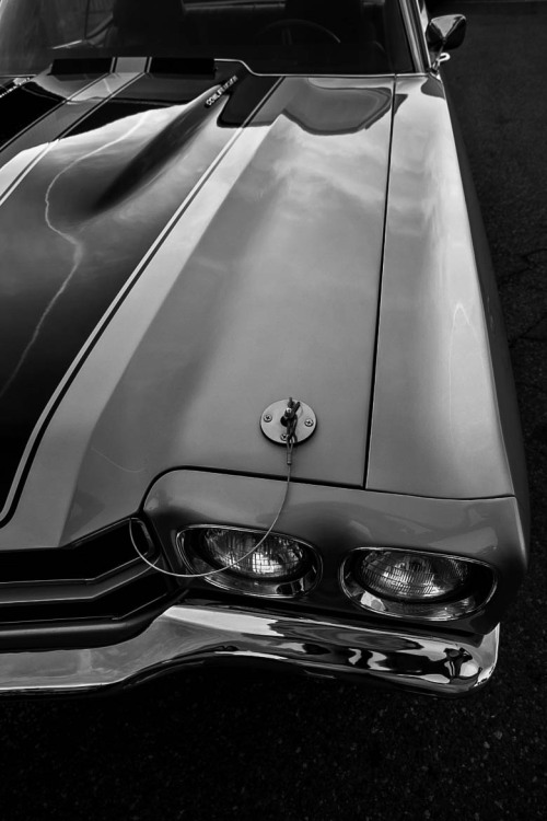 h-o-t-cars:  Photo by Greg David  