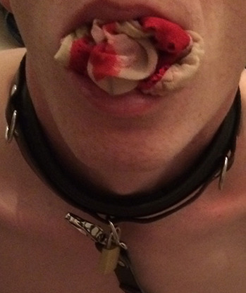 mistress-scarlet-captions:  jambi54:  petforher:  The wet spot covered by her sweet juices or maybe deliberately soaked with her pee carefully goes in first, and then the rest of it follows to effectively serves as a gag. She may do it gently or if fancy