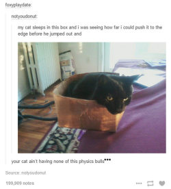 srsfunny:  Cat’s Do Not Abide By The Laws Of Naturehttp://srsfunny.tumblr.com/