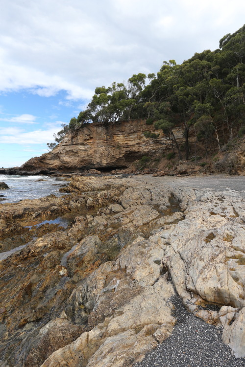 geologicaltravels: 2015: Dark Beach angular unconformity. Note brecciated slabs of the Ordivician Na