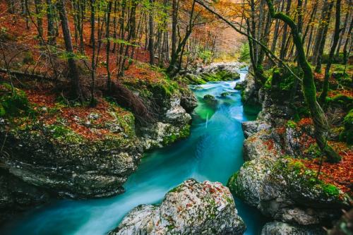 drxgonfly:Blue Creek (by  Paniti Márta) porn pictures