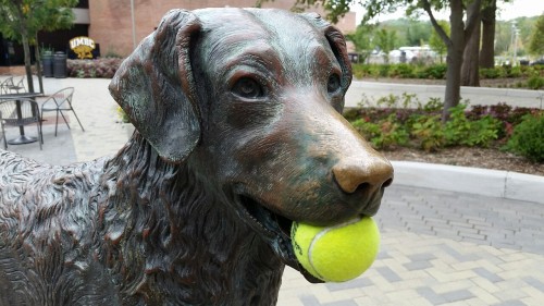 tiffanarchy: penroseparticle:  squigglydigg:  Somebody gave our mascot statue a tennis ball.  good he deserves it  he is a good boy 