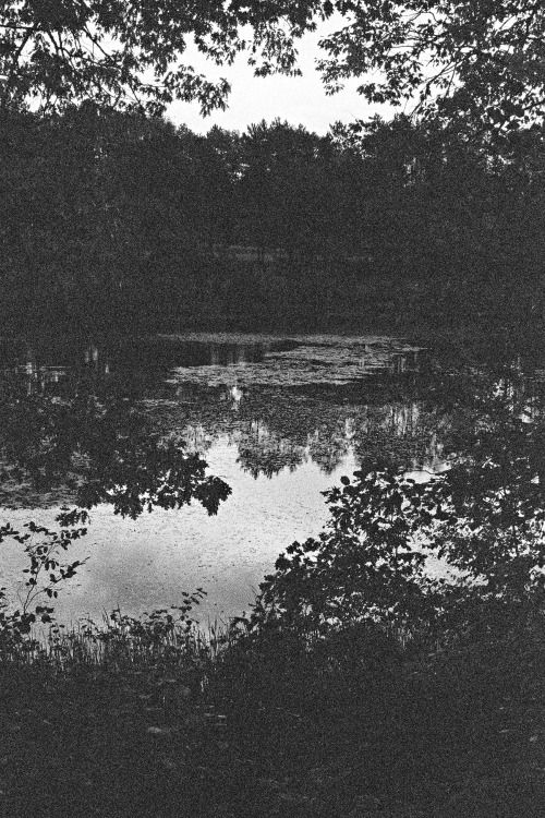 800 speed Black and White film, shot with my Nikon F3.  An evening in Michigan.Betsy Dougherty