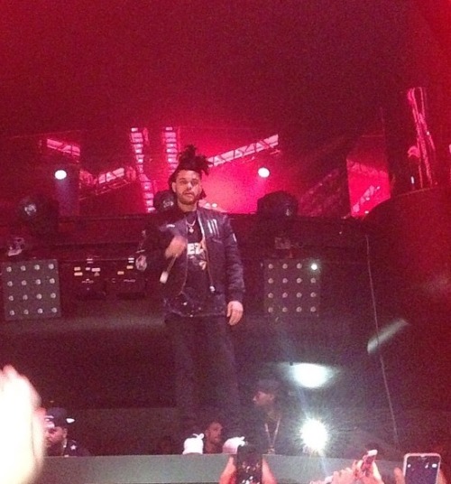 theweeknddaily:  The Weeknd at Hakkasan Nightclub